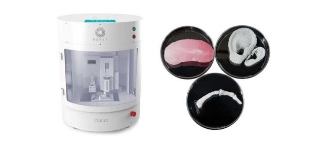 3d_bioprinting_rokit_invivo_