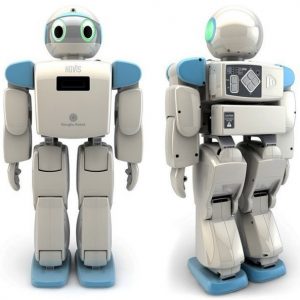 DST ROBOT - HOVIS ECO PLUS HUMANOID ROBOT