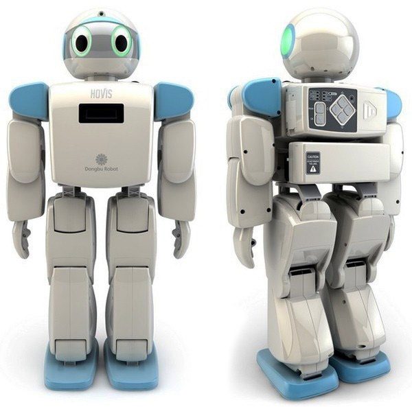 DST ROBOT - HOVIS ECO PLUS HUMANOID ROBOT