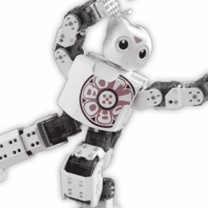 dsrbt23-5_grande_409_551_s_c1